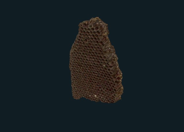 Honeycomb, accession 48.18 preview