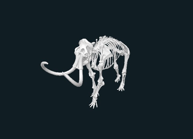 Woolly mammoth mounted skeleton model preview