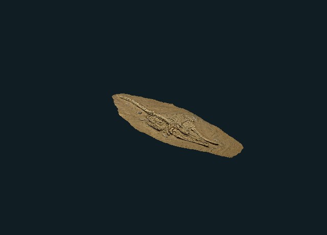 Fossil whale excavation site MPC 677 model preview